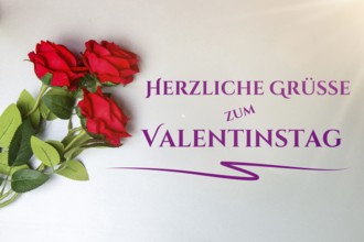 Valentine greetings: roses and text HAPPY VALENTINE'S DAY on a light grey background