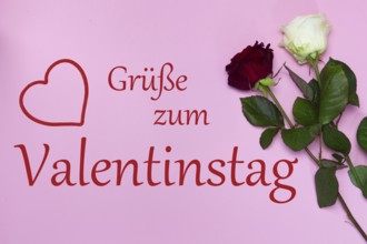 Valentine's greetings: Roses and text (Heartfelt) GREETINGS FOR VALENTINE'S DAY against a pastel