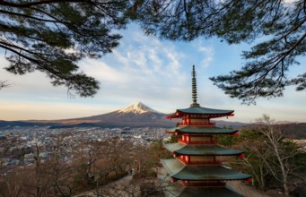 Five-story pagoda of a Shinto Shrine, Chureito Pagoda, with views of Fujiyoshida City and Mount