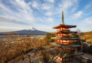 Five-story pagoda of a Shinto shrine in morning light, Chureito Pagoda, with views of Fujiyoshida