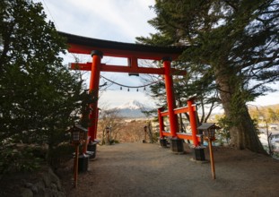View through red torii of Mount Fuji volcano, Arakura Fuji Sengen Shrine, Arakurayama Sengen Park,