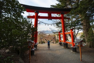 Tourist stretches her arms in the air, stands under red torii with a view of Mount Fuji volcano,