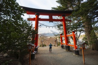 Female tourist standing under red torii with a view of Mount Fuji volcano, Arakura Fuji Sengen