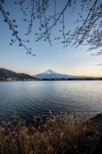 Lake Kawaguchi, view of Mount Fuji volcano at sunset, Yamanashi Prefecture, Japan