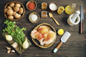 High angle view of raw chicken meat marinated with aromatic spice and lemon zest. Flat lay of home