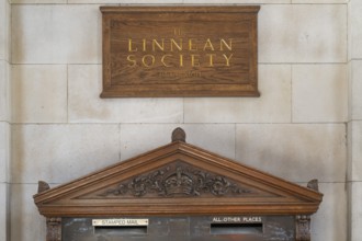 Linnean Society of London wooden plaque, Burlington House, Piccadilly, London, England, Great