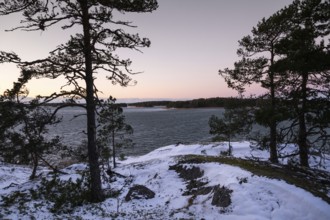 Wintery, snowy coastal landscape with pine trees at dusk with a view of the sea, Korpoström, Korpo