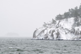 Snowy, windswept coast with pine trees against grey-white, foggy sky, Korpoström, Korpo or Korppo,