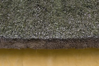 Thatched roof, reconstructed courtyard with nine houses built by a large farmer from the Viking