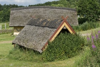 Reconstructed courtyard with nine houses built by a large farmer from the Viking Age, Fyrkat Viking
