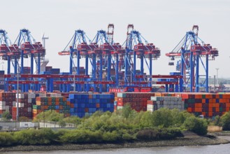 Containers are stored at the Burchardkai loading terminal with cranes on the Elbe in the Port of