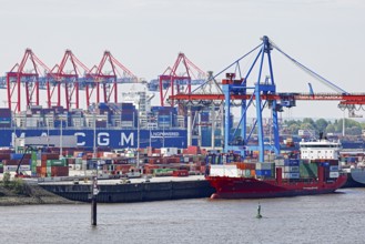 Container ship at the Burchardkai terminal on the Elbe in the Port of Hamburg, Hanseatic City of