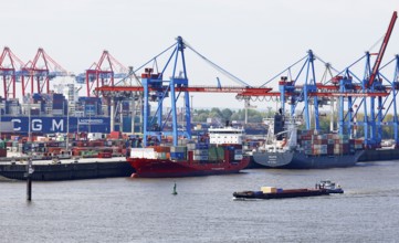 Container ships at the Burchardkai terminal on the Elbe in the Port of Hamburg, Hanseatic City of