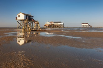 Stilt houses on the beach at low tide, St. Peter-Ording, Schleswig-Holstein Wadden Sea National