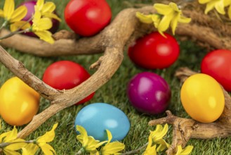 Colourful Easter eggs lay on grass surrounded by blooming branches and yellow flowers