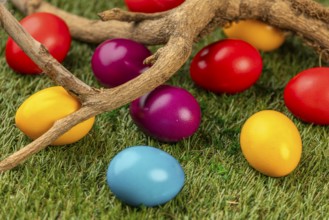 Colourful easter eggs and natural branches on green grass