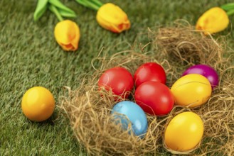 Colourful Easter eggs in nest on green grass surrounded by yellow tulips