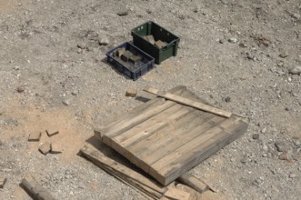 Wooden beams and 2 boxes on a construction site