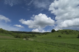 Cluster clouds (cumulus) over the landscape in the southern Carpathian Arc, Romania