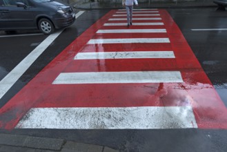 Rainy red white zebra stripes, Cluj-Napoca, Romania