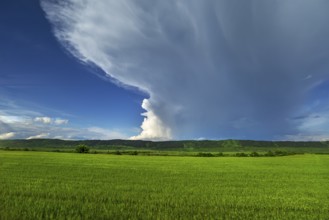Landscape with gathering rain cloud (Nimbostratus), Southern Carpathian Arc, Romania