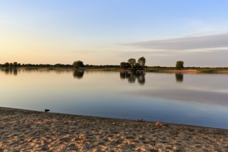 UNESCO Elbe River Landscape Biosphere Reserve, Lower Saxony Elbe floodplain, riverbank with beach,