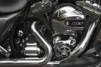Harley-Davidson with twin cam 103 engine, detailed view