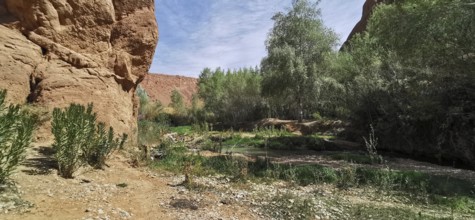 Lush vegetation and rocks surround a calm river under blue skies, Morocco