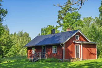 Red wooden country house with dark roof on green lawn surrounded by trees and forest under clear