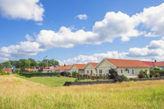 Residential houses with gardens and wooden facades along a green meadow under blue sky with white