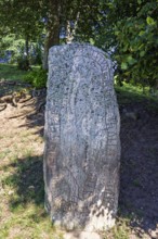Runestone with carved runes symbols standing on forest ground by a forest, Hornborgasjön, Sweden