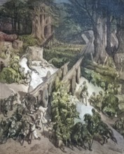 Tree felling at the cedars in Lebanon, Cedrus libani, commonly known as Lebanon Cedar/Tree felling