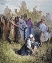 Ruth in Boaz's Field, Boaz is a biblical figure who appears in the Book of Ruth in the Hebrew