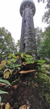 Lucas Cranach tower, frog-eye view, in wooded area, with mushrooms, Frankenwald nature park Park