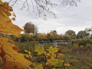 View through autumn leaves of trees and a fortress in the background, Rosenberg Fortress, Kronach,