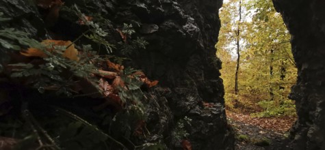 View from a dark cave of bright autumn leaves and trees, Franconian Forest nature park Park