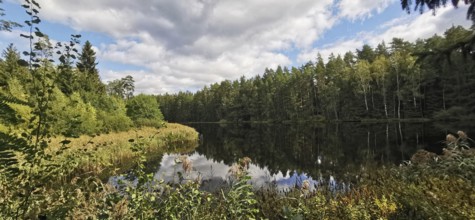 Calm lake with forest reflections under blue skies, Franconian Forest nature park Park