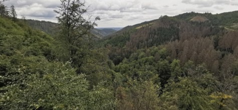 View of wooded hills and mountains under cloudy sky, Thuringian Forest nature park Park
