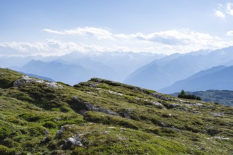 View of the Adamello Group from the Grosté Plateau, Brenta-Adamello Natural Park, Trentino, Italy
