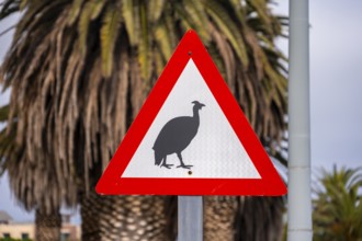 Attention guinea fowls, warning sign, Swakopmund, Erongo region, Namibia