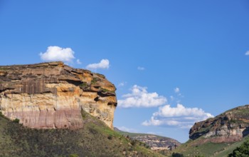 Grassland with sandstone cliffs and cliffs, landscape in Golden Gate Highlands National Park, Free