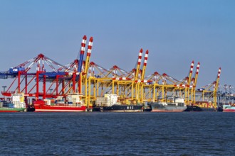 A busy port full of colorful cranes and container ships lying on the shore, The cranes of Bremen's