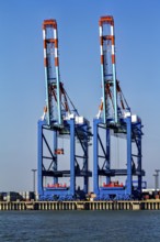 Two blue harbor cranes shine under a clear sky over calm water, The cranes of the Bremen industrial