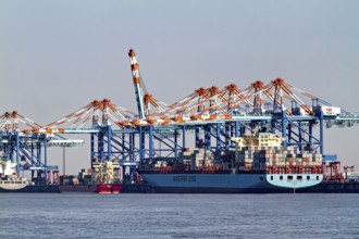 Large cargo ship loaded with containers surrounded by blue port cranes, The cranes of the Bremen