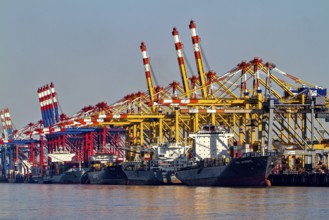 Various container cranes in yellow and red, several ships lying in the harbor, The cranes of the