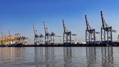 Cranes at the harbor in clear blue sky, reflected in the water, industrial ambiance, The cranes of