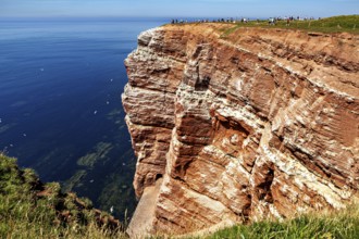 Rocky cliffs tower over the calm blue sea, the high-seas island of Heligoland in the North Sea