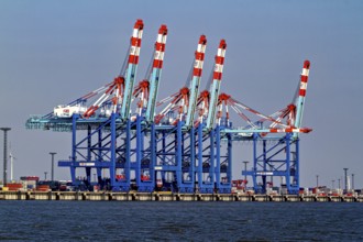 Row of blue and red harbor cranes, containers in the background, calm water, The cranes of the