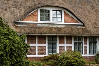 Traditional thatched house with brick walls and several windows, surrounded by green vegetation,
