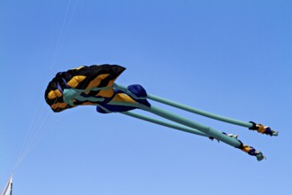 A colorful kite flies high in the blue sky in sunny conditions, a kite in the air